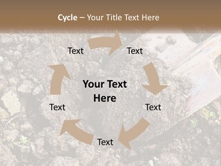 House Cool Supply PowerPoint Template