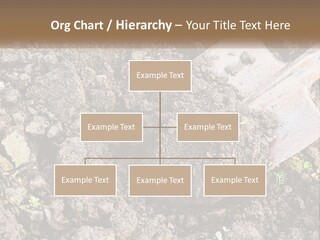 House Cool Supply PowerPoint Template