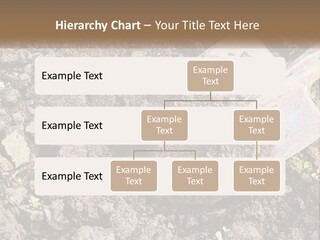 House Cool Supply PowerPoint Template