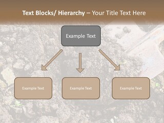 House Cool Supply PowerPoint Template