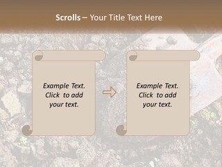 House Cool Supply PowerPoint Template