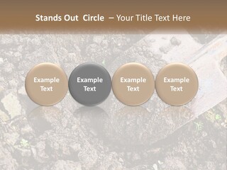 House Cool Supply PowerPoint Template