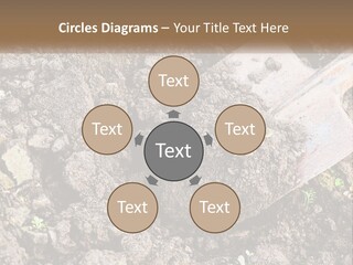 House Cool Supply PowerPoint Template