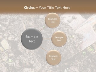 House Cool Supply PowerPoint Template