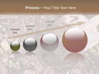 House Cool Supply PowerPoint Template