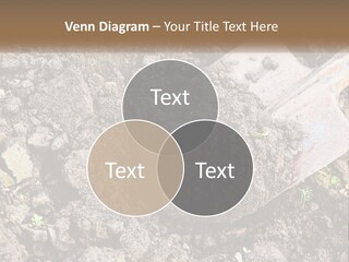 House Cool Supply PowerPoint Template