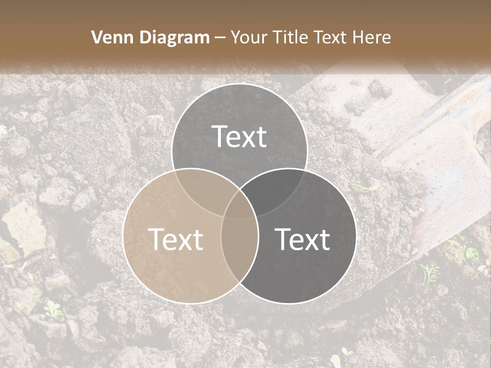 House Cool Supply PowerPoint Template