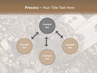 House Cool Supply PowerPoint Template