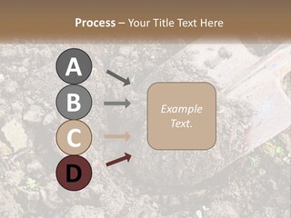 House Cool Supply PowerPoint Template