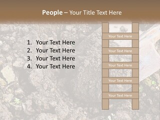 House Cool Supply PowerPoint Template