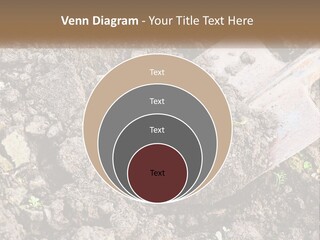 House Cool Supply PowerPoint Template