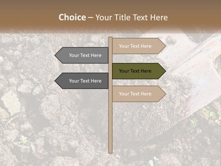 House Cool Supply PowerPoint Template