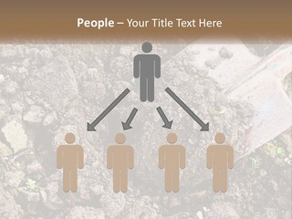 House Cool Supply PowerPoint Template