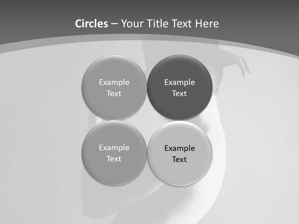 Photography Young Caucasian PowerPoint Template