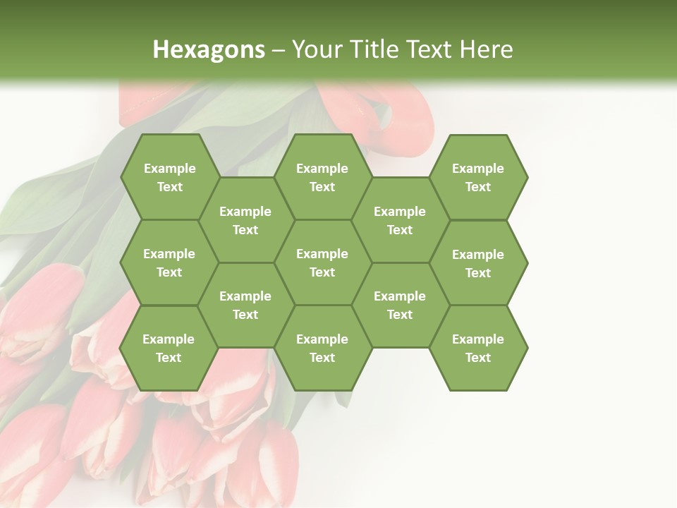 White Leaf Vivid PowerPoint Template