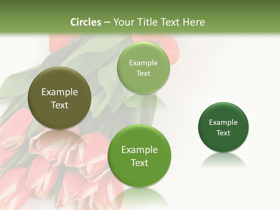 White Leaf Vivid PowerPoint Template