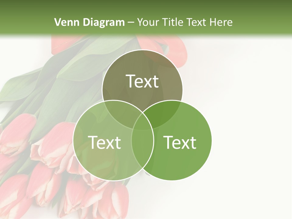 White Leaf Vivid PowerPoint Template