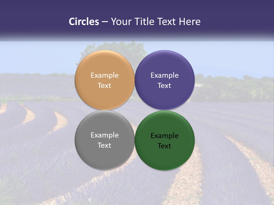 Scent Outdoors Flower PowerPoint Template