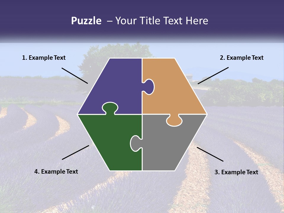 Scent Outdoors Flower PowerPoint Template