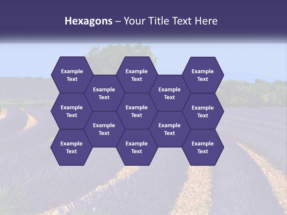 Scent Outdoors Flower PowerPoint Template