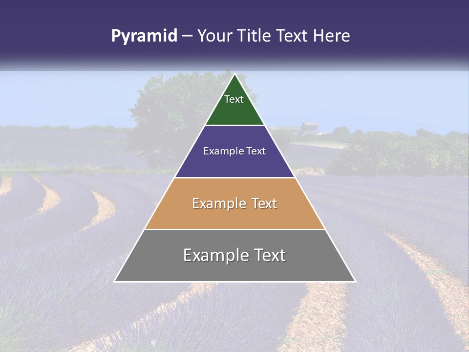 Scent Outdoors Flower PowerPoint Template