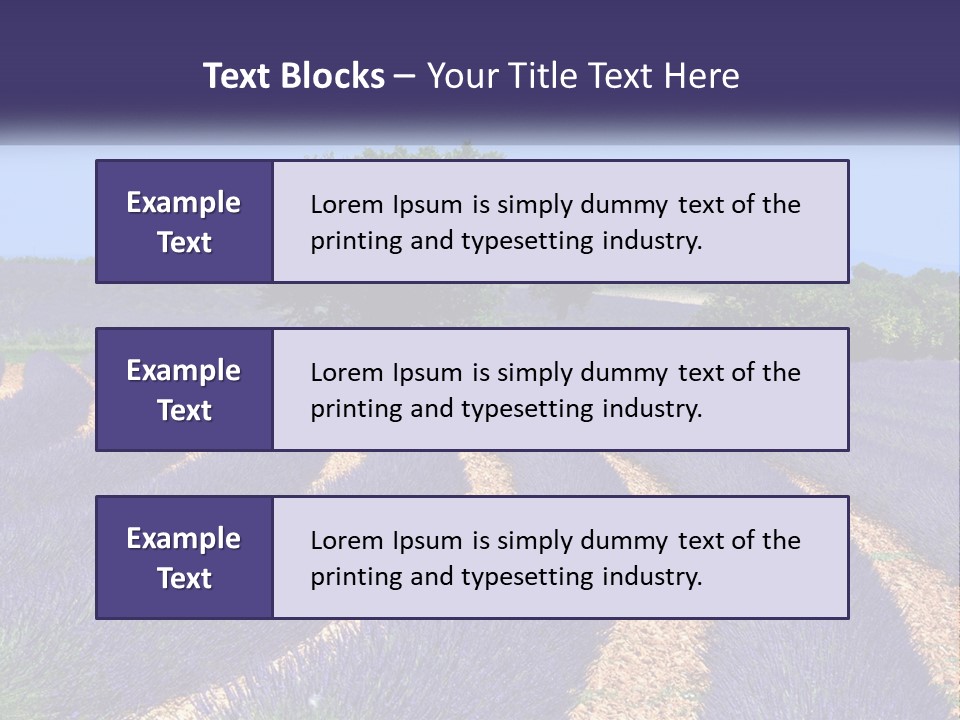 Scent Outdoors Flower PowerPoint Template