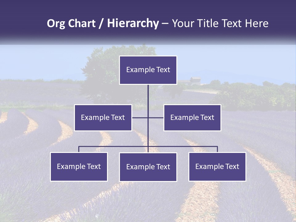 Scent Outdoors Flower PowerPoint Template