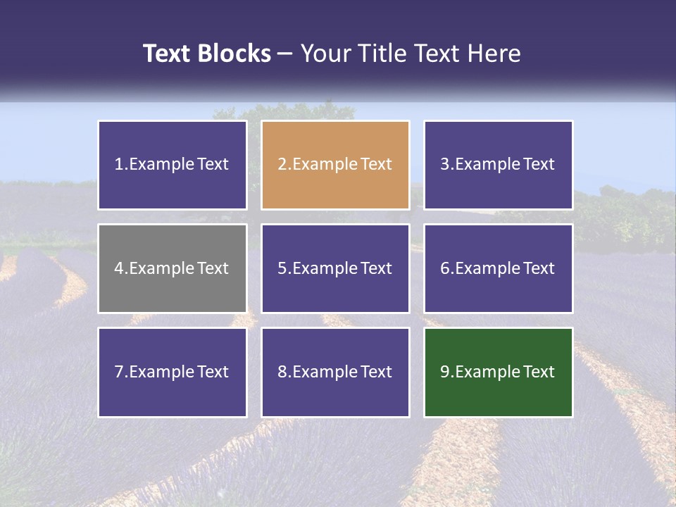 Scent Outdoors Flower PowerPoint Template