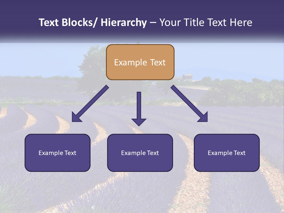 Scent Outdoors Flower PowerPoint Template