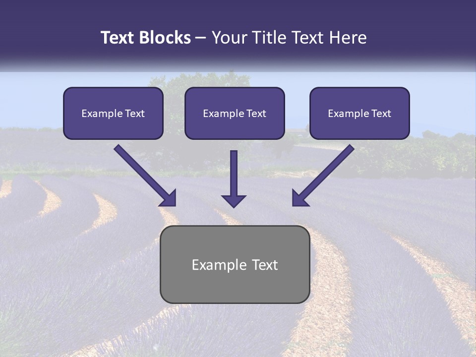 Scent Outdoors Flower PowerPoint Template