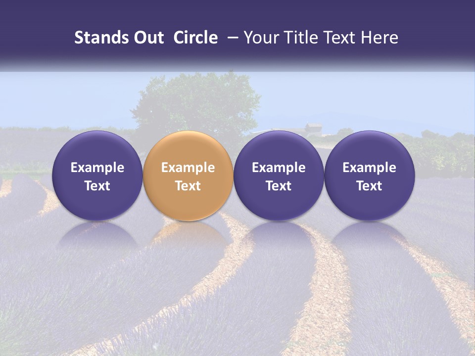 Scent Outdoors Flower PowerPoint Template