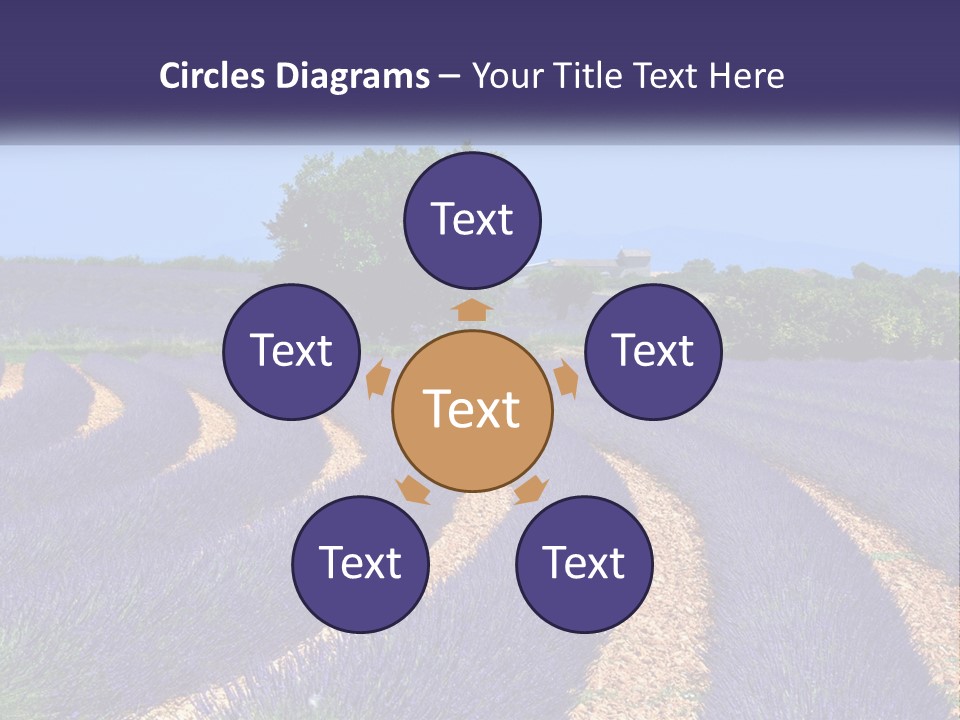 Scent Outdoors Flower PowerPoint Template