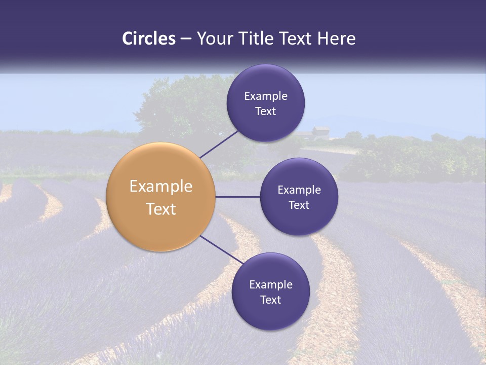 Scent Outdoors Flower PowerPoint Template