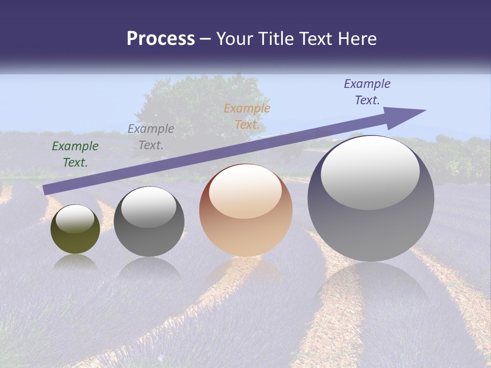 Scent Outdoors Flower PowerPoint Template