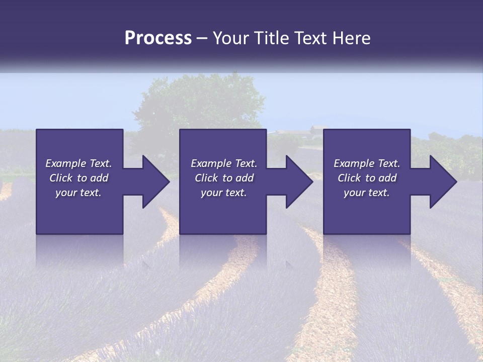 Scent Outdoors Flower PowerPoint Template