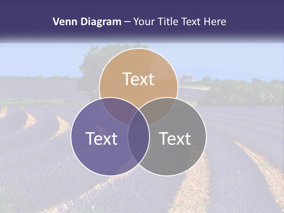 Scent Outdoors Flower PowerPoint Template