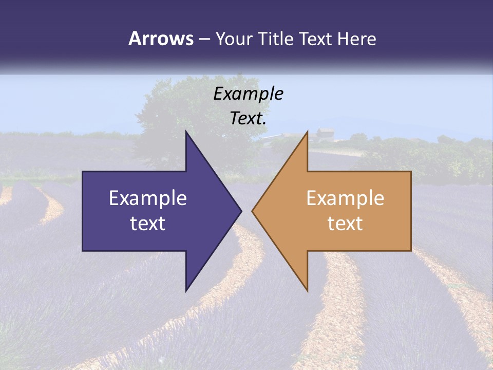 Scent Outdoors Flower PowerPoint Template