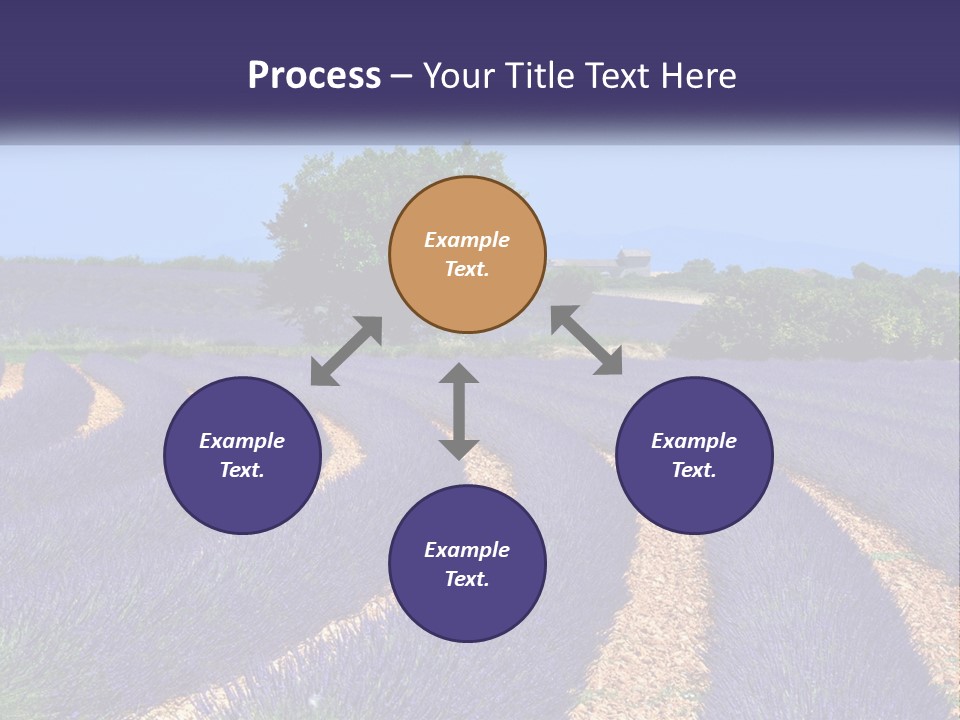 Scent Outdoors Flower PowerPoint Template