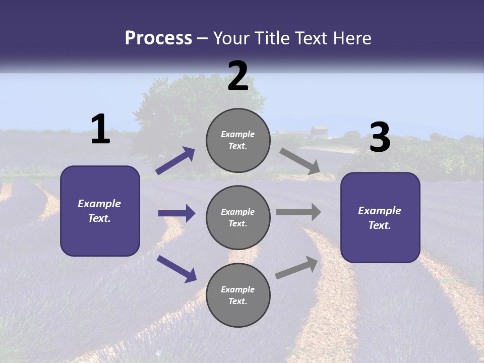 Scent Outdoors Flower PowerPoint Template