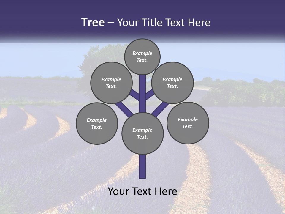 Scent Outdoors Flower PowerPoint Template