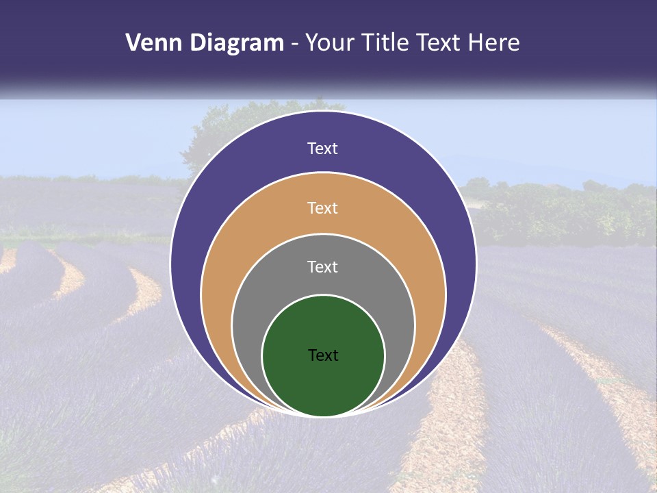 Scent Outdoors Flower PowerPoint Template