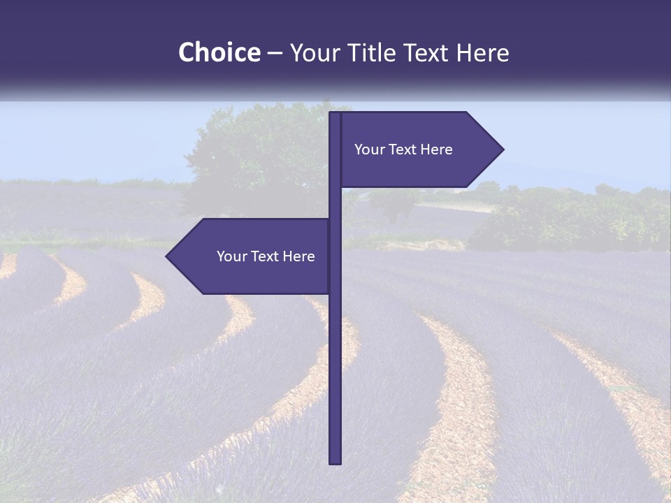 Scent Outdoors Flower PowerPoint Template