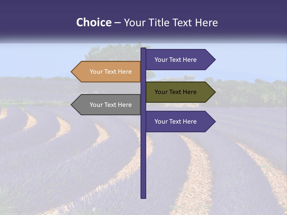 Scent Outdoors Flower PowerPoint Template