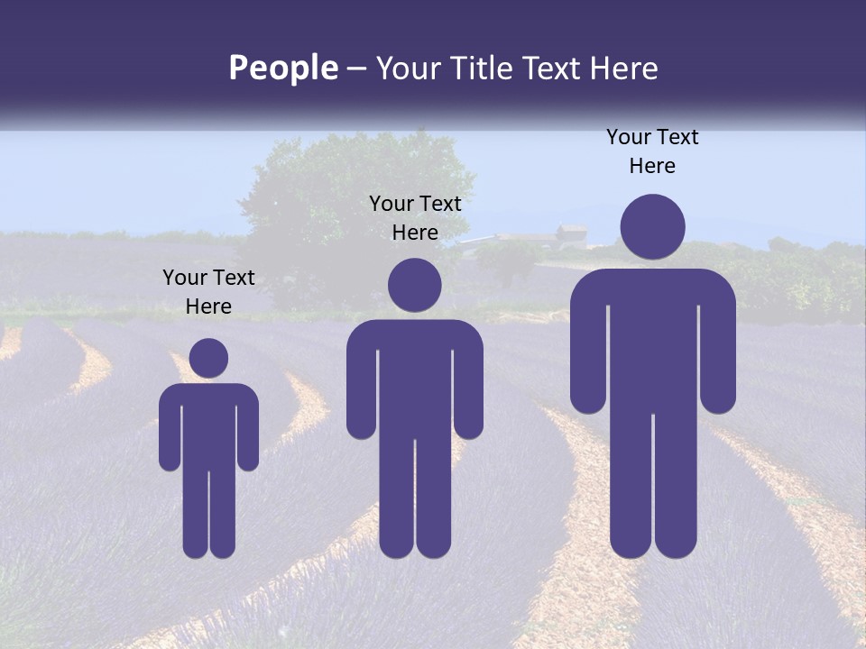 Scent Outdoors Flower PowerPoint Template