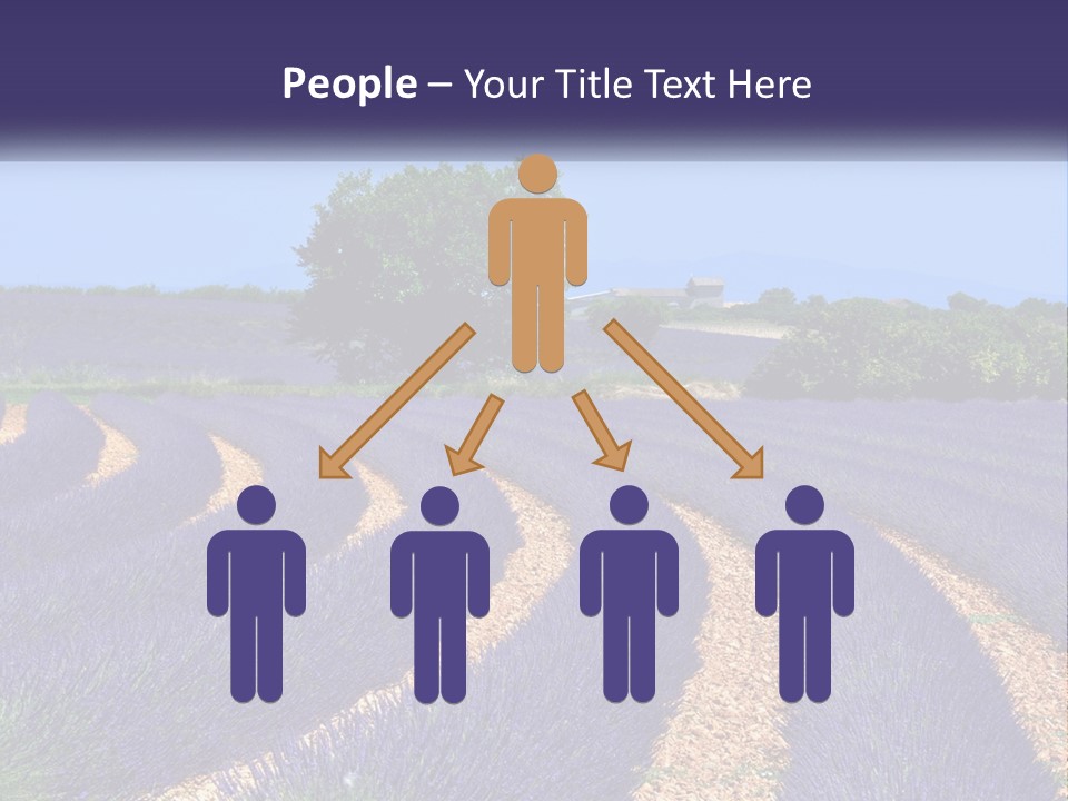 Scent Outdoors Flower PowerPoint Template