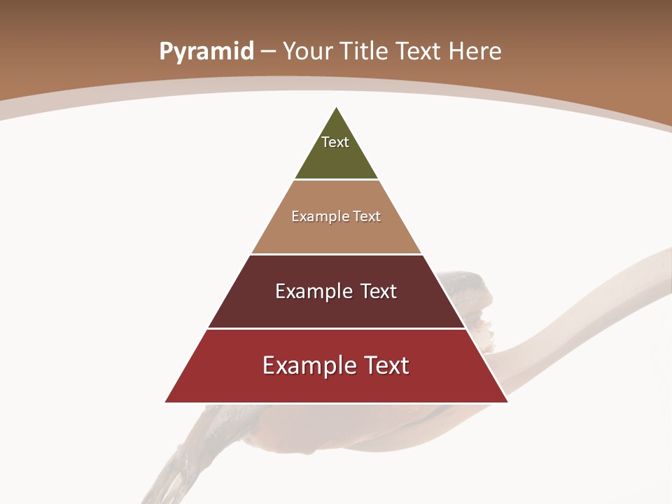 Cut Matjessil Traditional PowerPoint Template