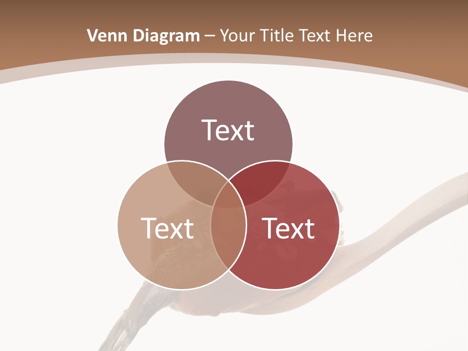 Cut Matjessil Traditional PowerPoint Template