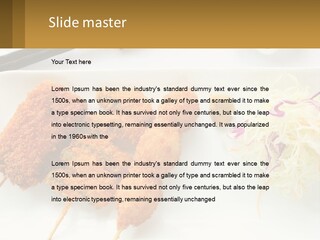 Gourmet Pork Plate PowerPoint Template