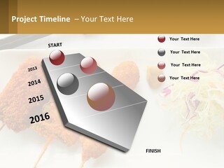 Gourmet Pork Plate PowerPoint Template