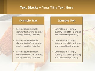 Gourmet Pork Plate PowerPoint Template